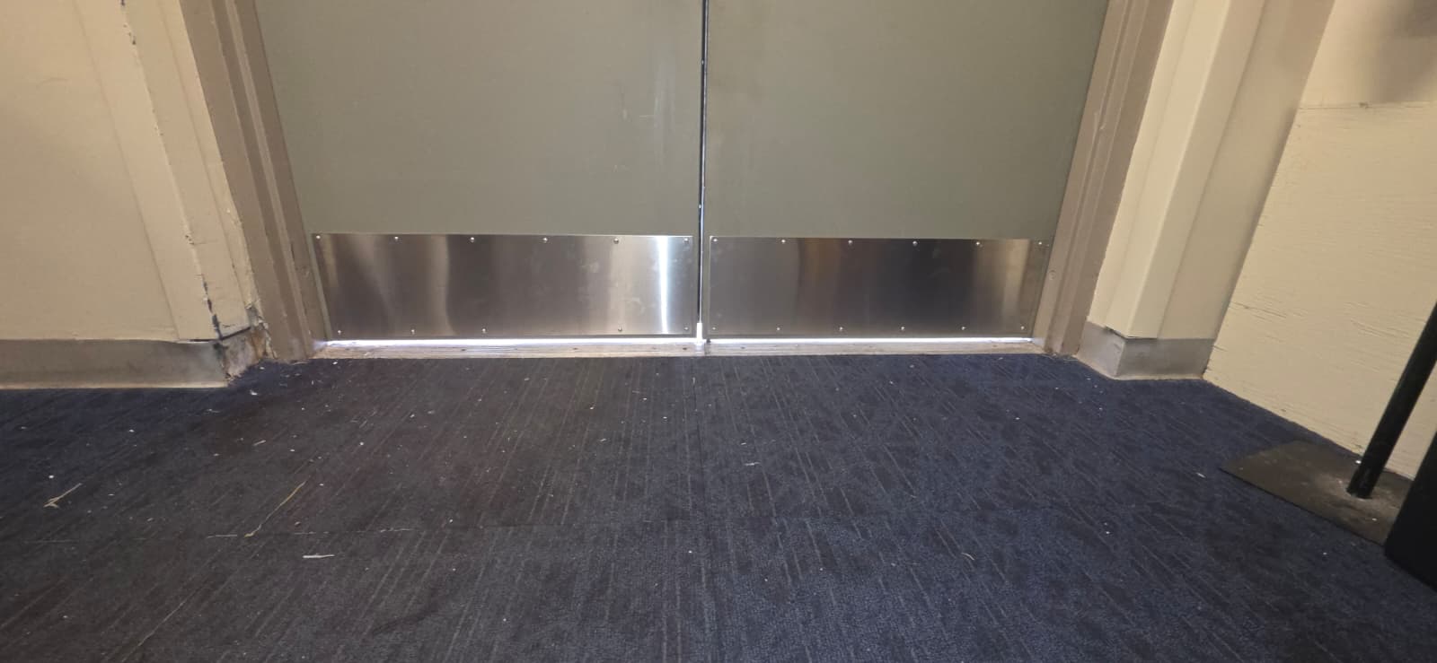 Office Building Doors Kept Getting Scratched by Cleaning Carts in Hollywood photo 1